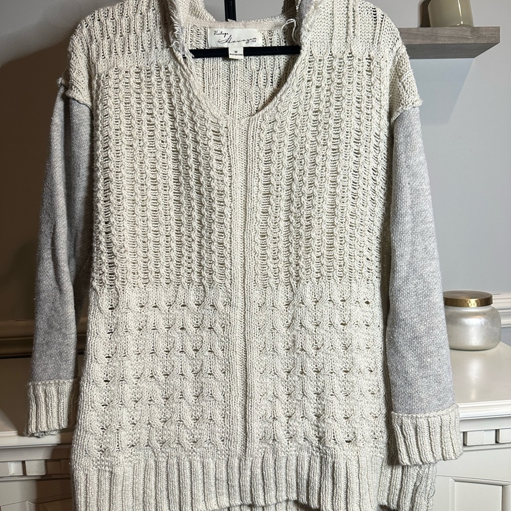 Vintage Havana Cream and Gray V-neck Sweater